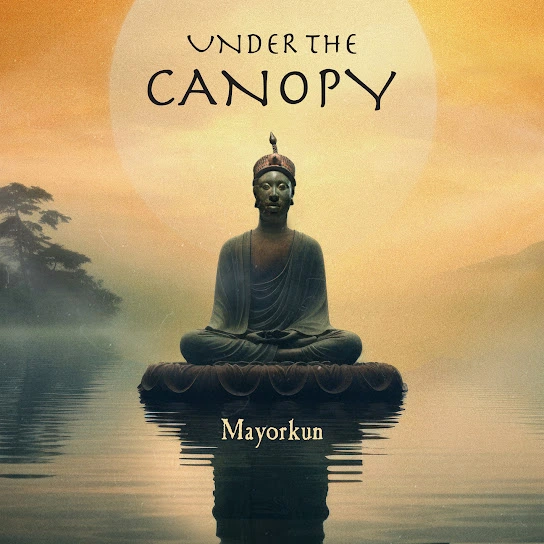 Mayorkun – Under The Canopy Mp3